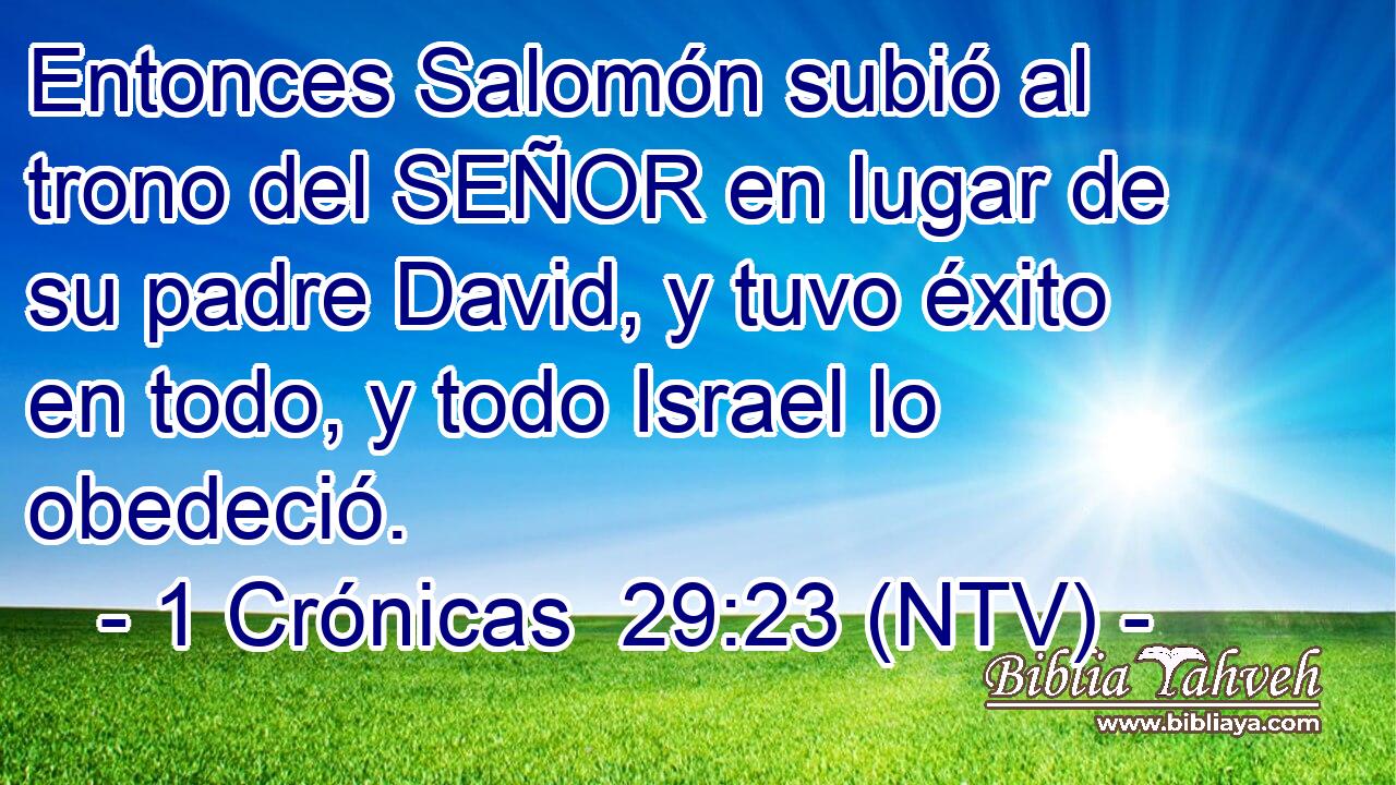 Entonces Salomón subió al trono del SEÑOR en lugar de su padre David, y tuvo éxito en todo, y todo Israel lo obedeció.