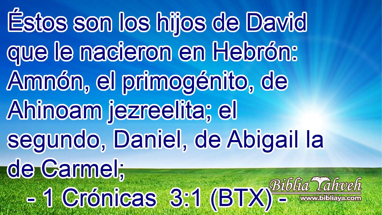 Éstos son los hijos de David que le nacieron en Hebrón: Amnón, el primogénito, de Ahinoam jezreelita; el segundo, Daniel, de Abigail la de Carmel;