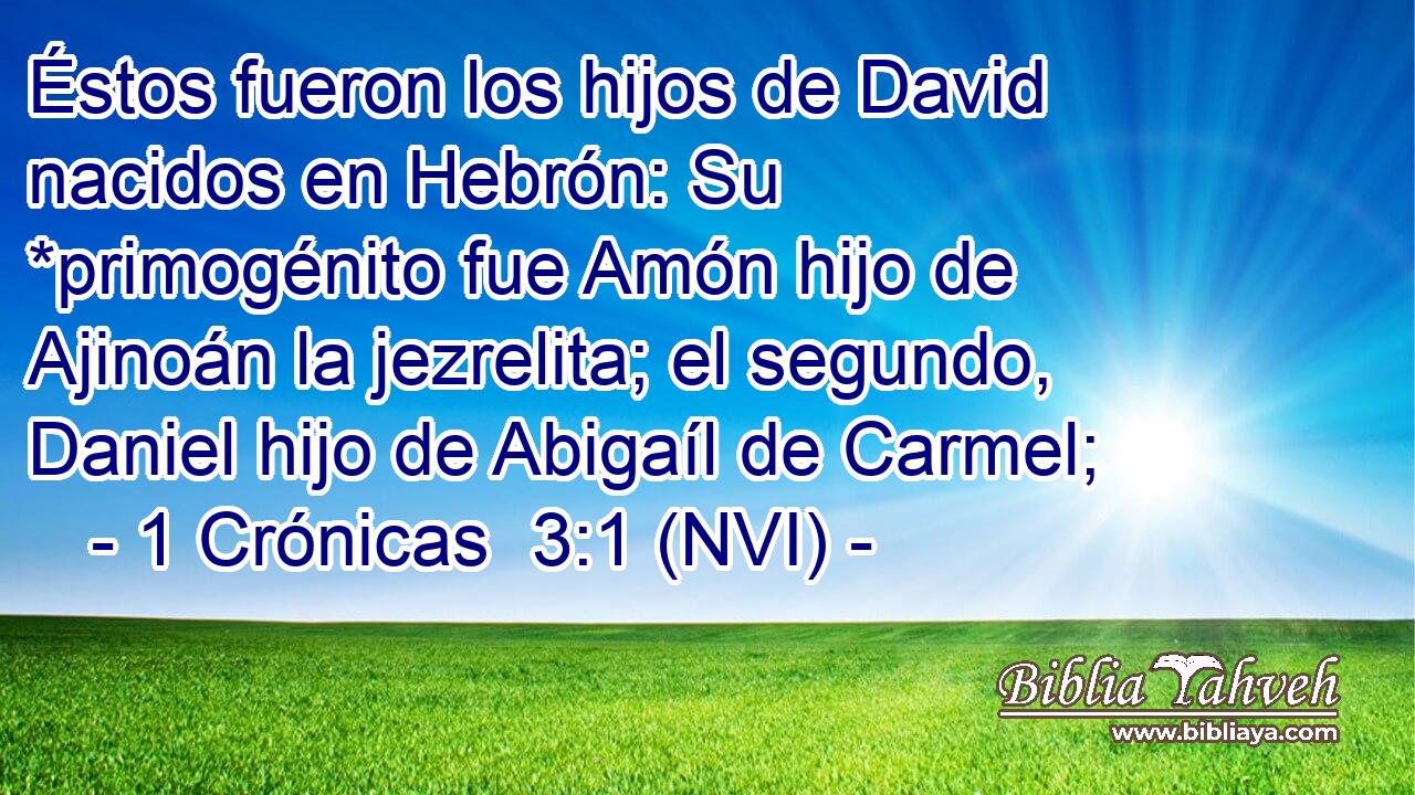  Éstos fueron los hijos de David nacidos en Hebrón: Su *primogénito fue Amón hijo de Ajinoán la jezrelita; el segundo, Daniel hijo de Abigaíl de Carmel; 