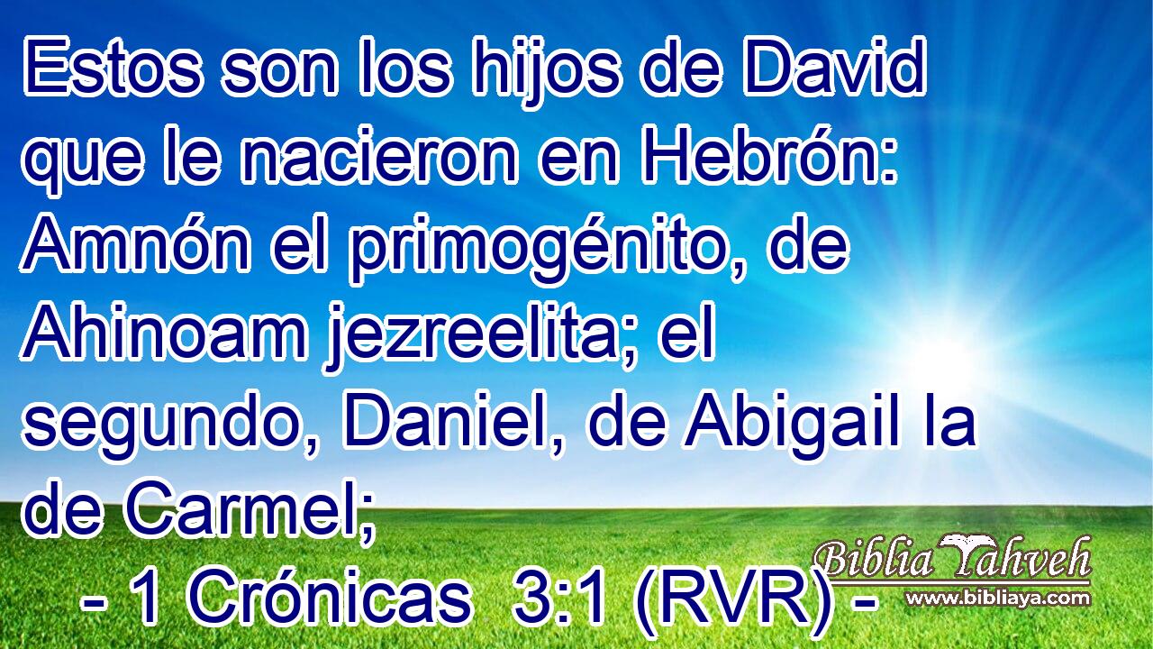 Estos son los hijos de David que le nacieron en Hebrón: Amnón el primogénito, de Ahinoam jezreelita; el segundo, Daniel, de Abigail la de Carmel;