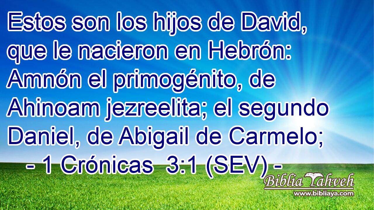 Estos son los hijos de David, que le nacieron en Hebrón: Amnón el primogénito, de Ahinoam jezreelita; el segundo Daniel, de Abigail de Carmelo;