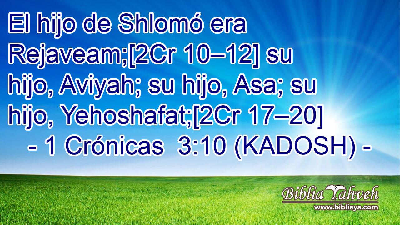 El hijo de Shlomó era Rejaveam;[2Cr 10–12] su hijo, Aviyah; su hijo, Asa; su hijo, Yehoshafat;[2Cr 17–20] 