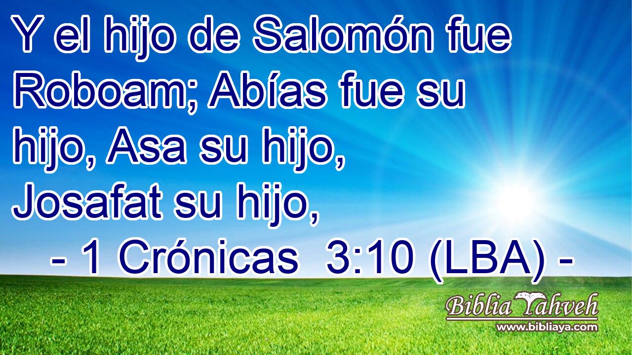 Y el hijo de Salomón fue Roboam; Abías fue su hijo, Asa su hijo, Josafat su hijo,