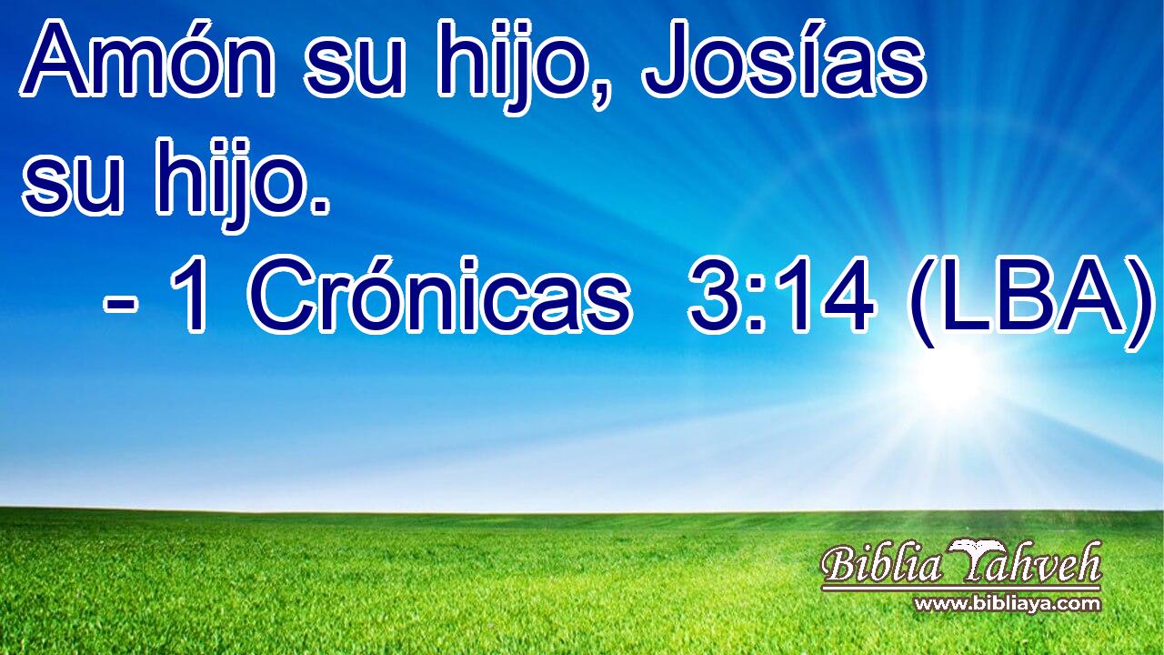 Amón su hijo, Josías su hijo.