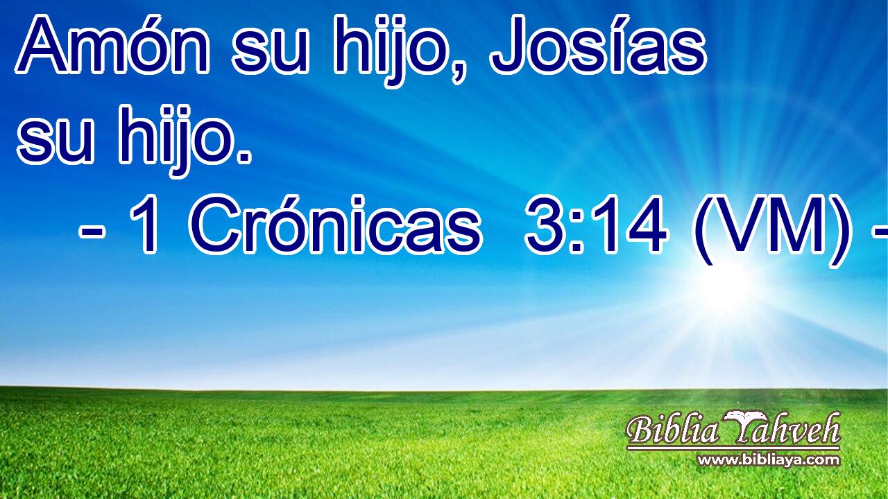  Amón su hijo, Josías su hijo. 