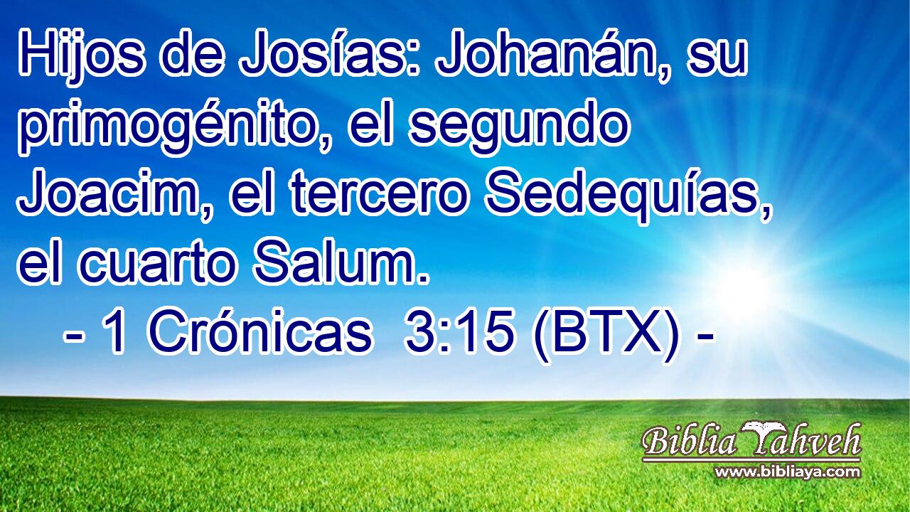 Hijos de Josías: Johanán, su primogénito, el segundo Joacim, el tercero Sedequías, el cuarto Salum.