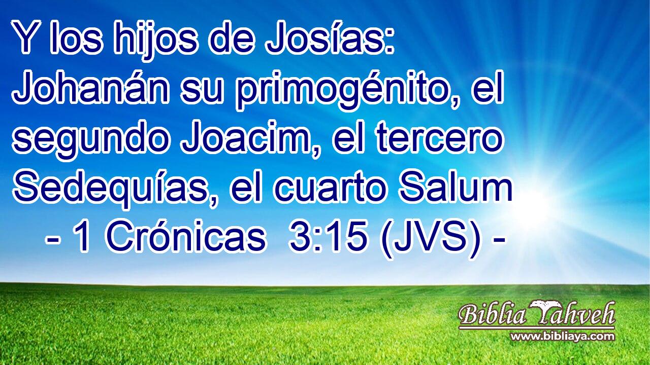 Y los hijos de Josías: Johanán su primogénito, el segundo Joacim, el tercero Sedequías, el cuarto Salum