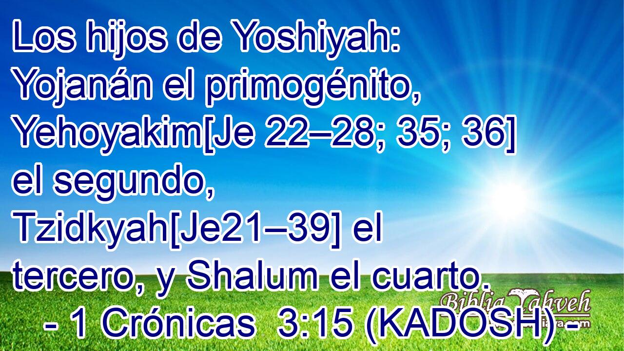  Los hijos de Yoshiyah: Yojanán el primogénito, Yehoyakim[Je 22–28; 35; 36] el segundo, Tzidkyah[Je21–39] el tercero, y Shalum el cuarto. 