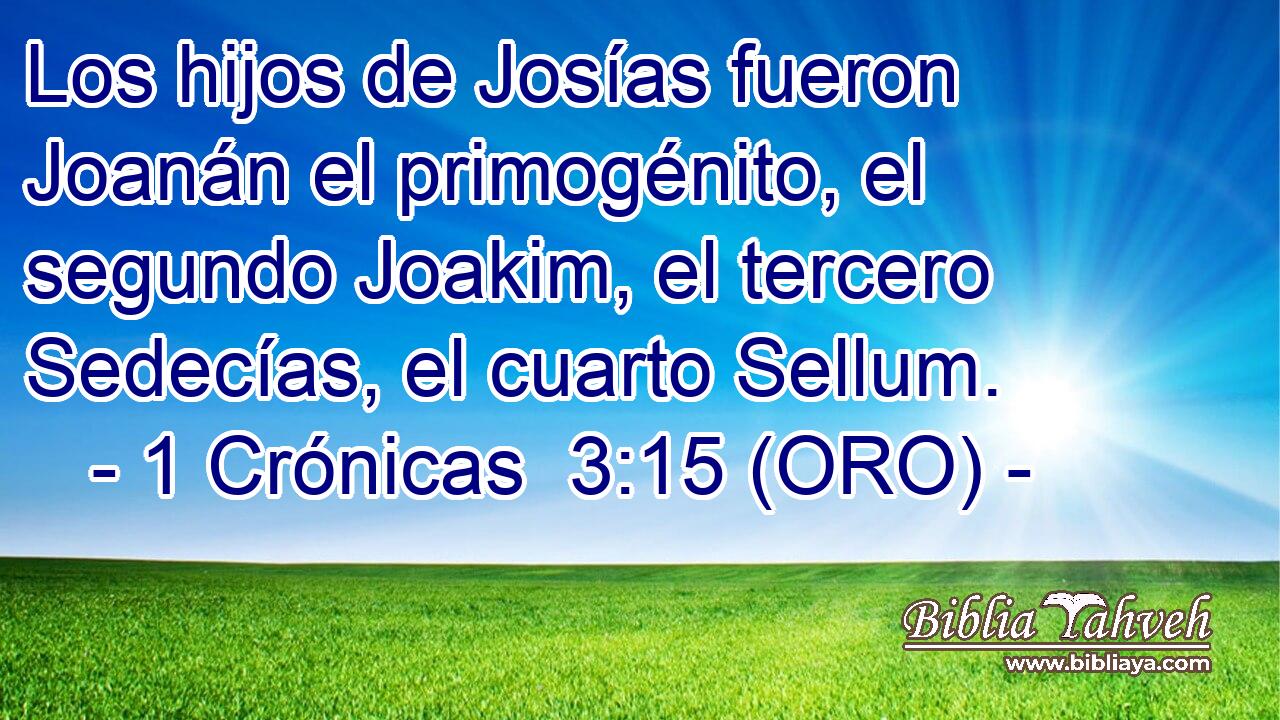  Los hijos de Josías fueron Joanán el primogénito, el segundo Joakim, el tercero Sedecías, el cuarto Sellum. 