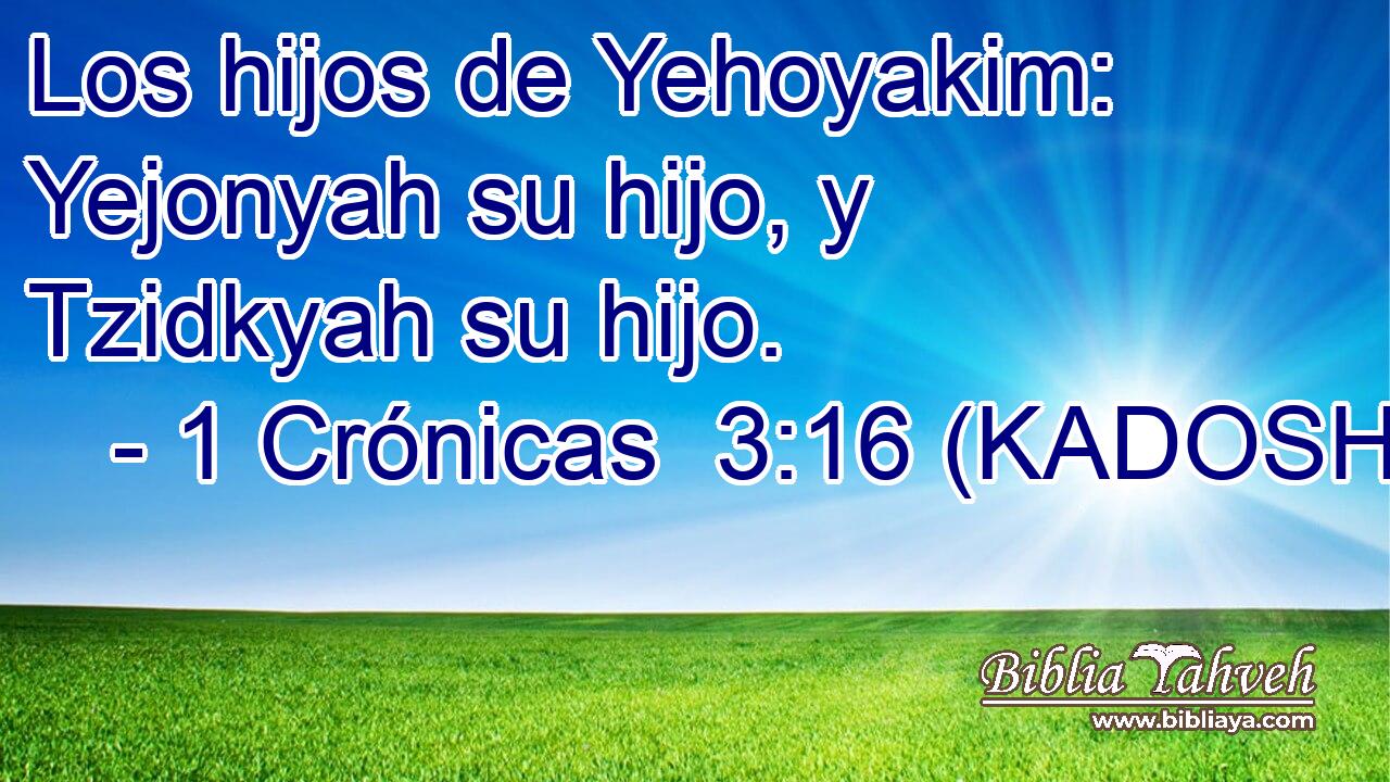  Los hijos de Yehoyakim: Yejonyah su hijo, y Tzidkyah su hijo. 