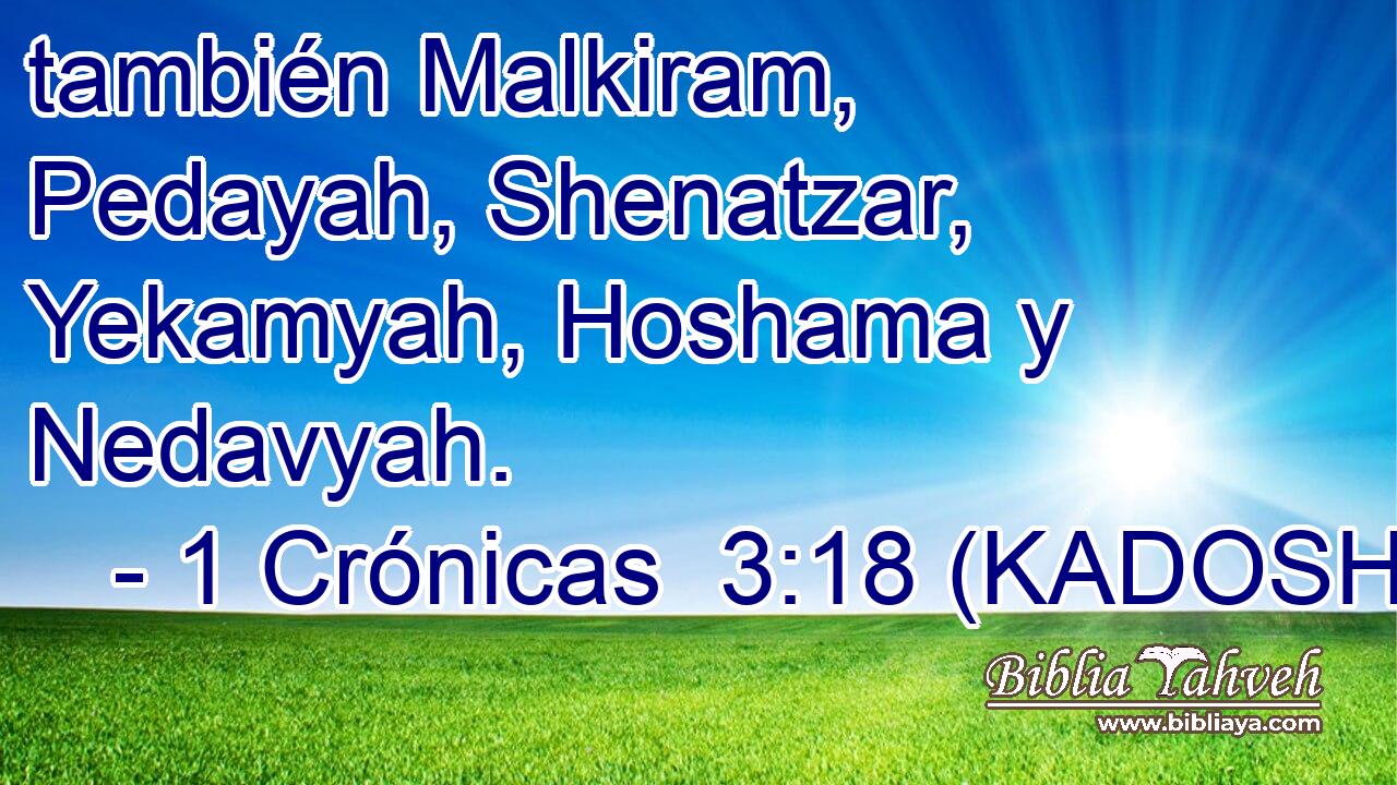  también Malkiram, Pedayah, Shenatzar, Yekamyah, Hoshama y Nedavyah. 