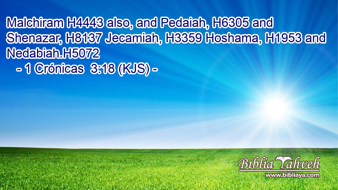 Malchiram H4443 also, and Pedaiah, H6305 and Shenazar, H8137 Jecamiah, H3359 Hoshama, H1953 and Nedabiah.H5072