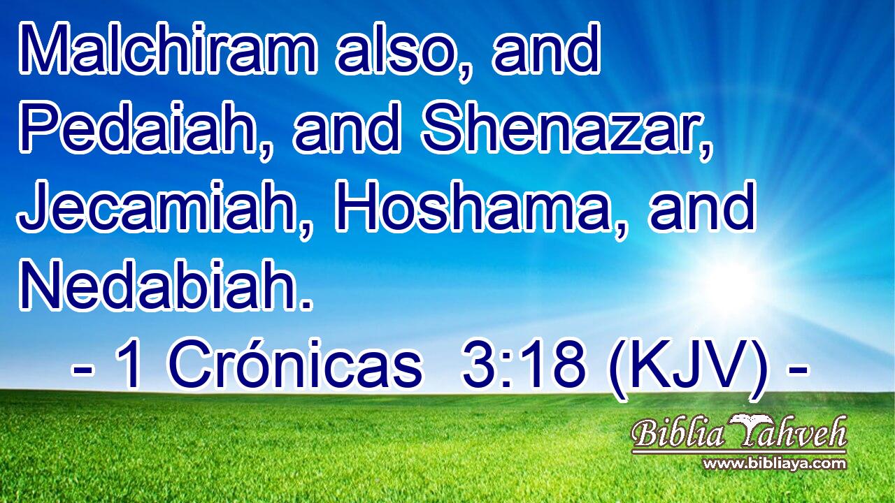 Malchiram also, and Pedaiah, and Shenazar, Jecamiah, Hoshama, and Nedabiah.