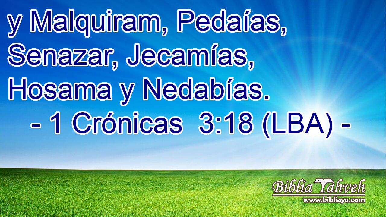 y Malquiram, Pedaías, Senazar, Jecamías, Hosama y Nedabías.