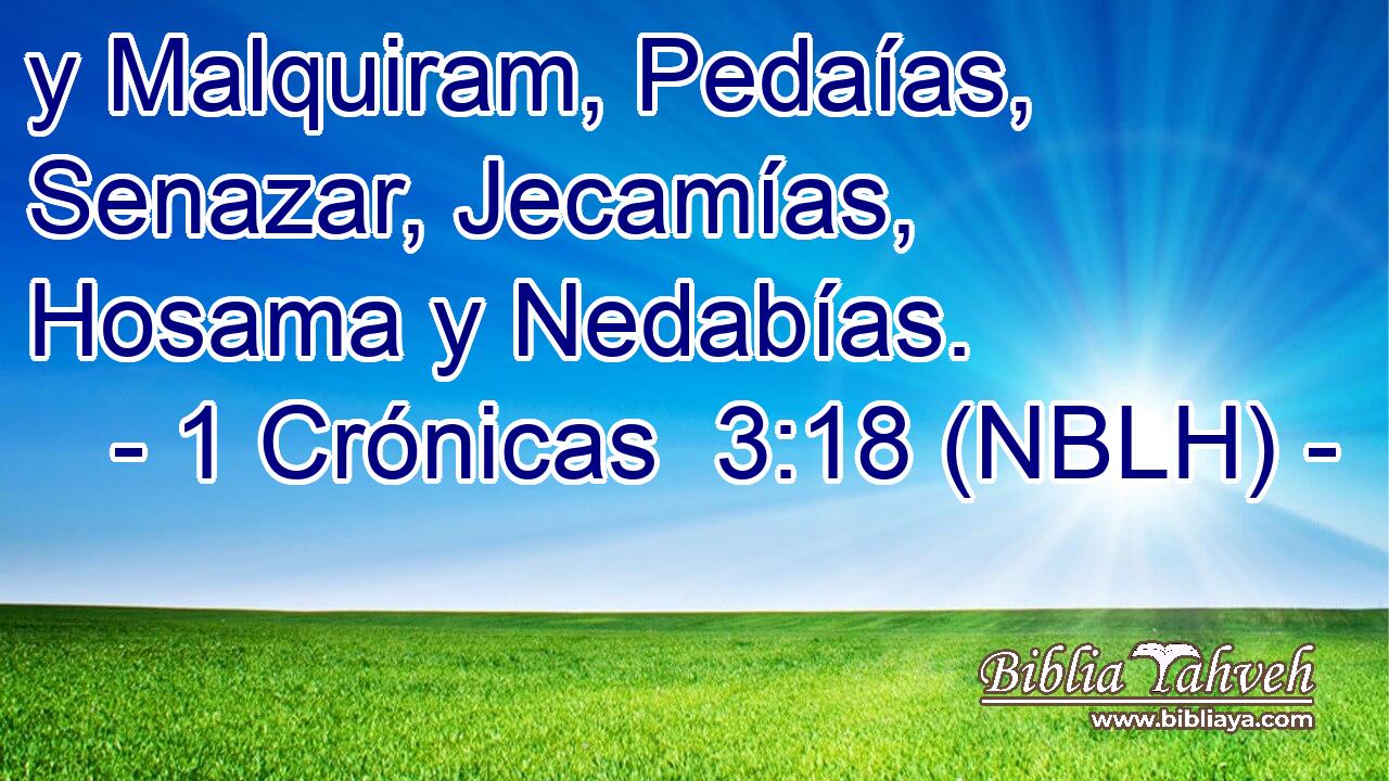  y Malquiram, Pedaías, Senazar, Jecamías, Hosama y Nedabías. 