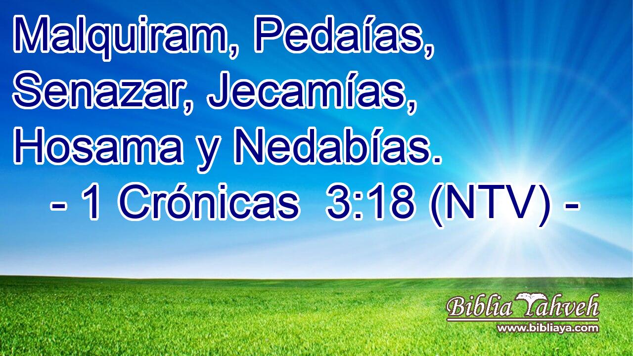 Malquiram, Pedaías, Senazar, Jecamías, Hosama y Nedabías.