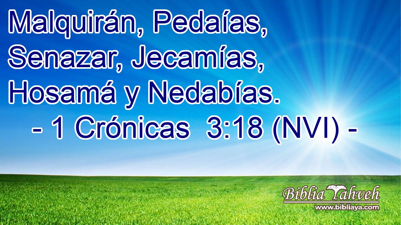  Malquirán, Pedaías, Senazar, Jecamías, Hosamá y Nedabías. 
