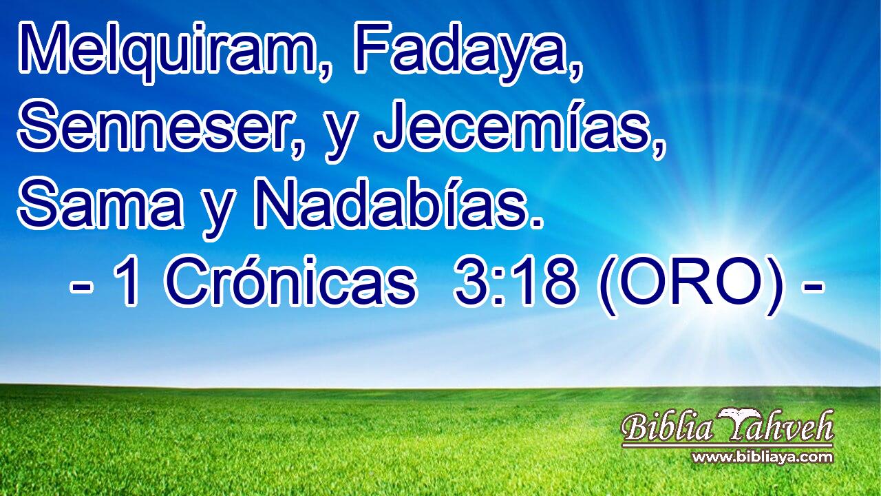  Melquiram, Fadaya, Senneser, y Jecemías, Sama y Nadabías. 