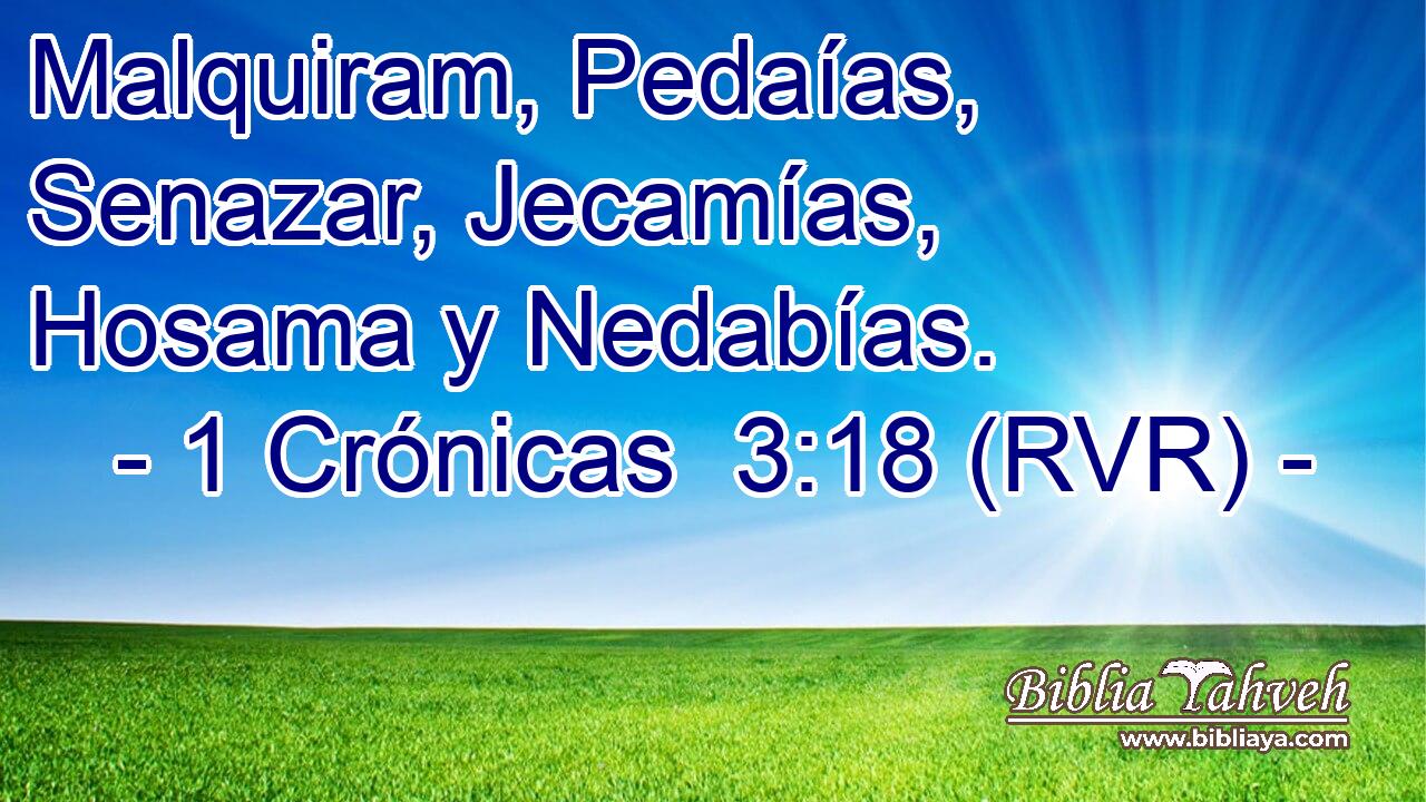 Malquiram, Pedaías, Senazar, Jecamías, Hosama y Nedabías.
