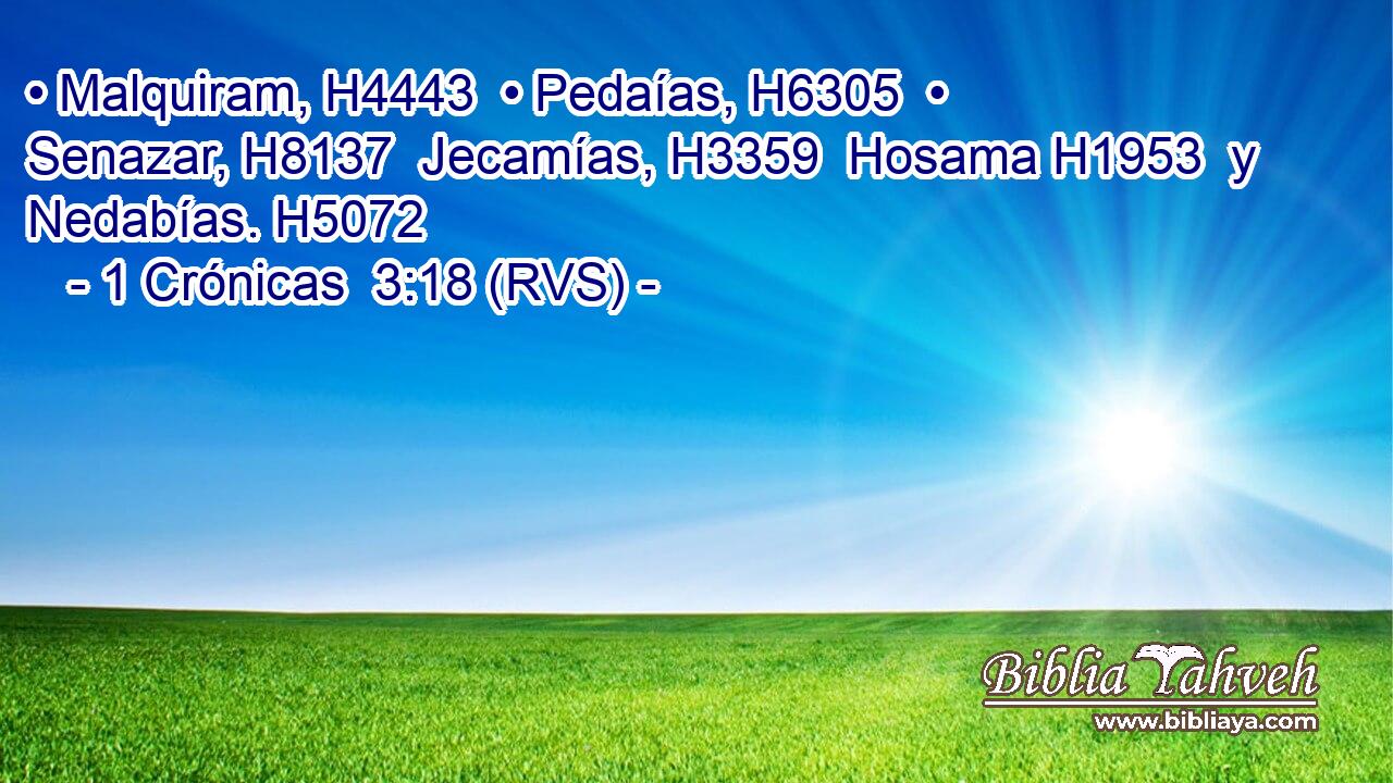 • Malquiram, H4443  • Pedaías, H6305  • Senazar, H8137  Jecamías, H3359  Hosama H1953  y Nedabías. H5072  