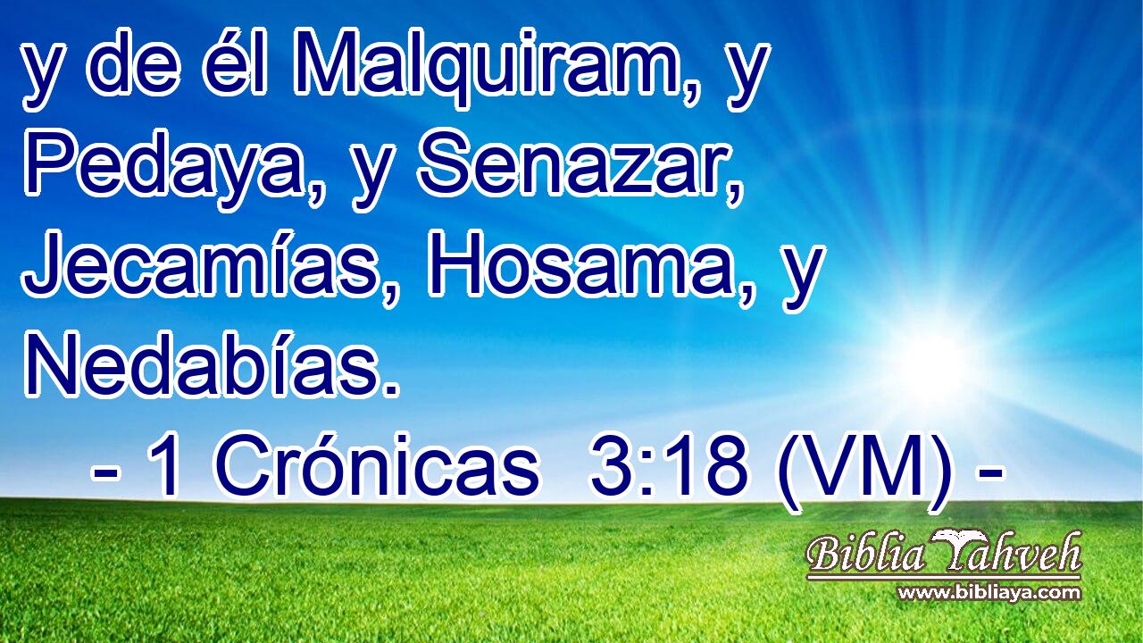  y de él Malquiram, y Pedaya, y Senazar, Jecamías, Hosama, y Nedabías. 