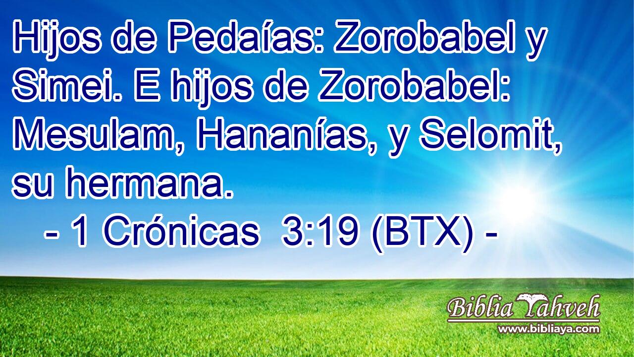 Hijos de Pedaías: Zorobabel y Simei. E hijos de Zorobabel: Mesulam, Hananías, y Selomit, su hermana.
