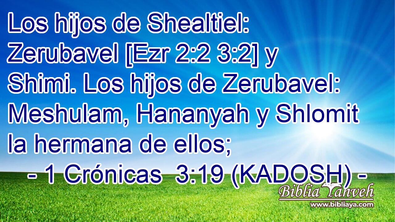  Los hijos de Shealtiel: Zerubavel [Ezr 2:2 3:2] y Shimi. Los hijos de Zerubavel: Meshulam, Hananyah y Shlomit la hermana de ellos; 