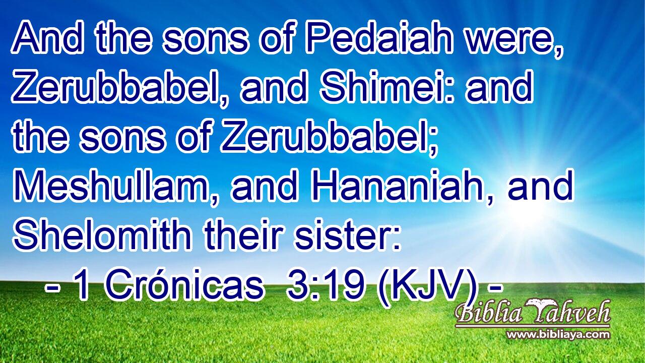 And the sons of Pedaiah were, Zerubbabel, and Shimei: and the sons of Zerubbabel; Meshullam, and Hananiah, and Shelomith their sister: