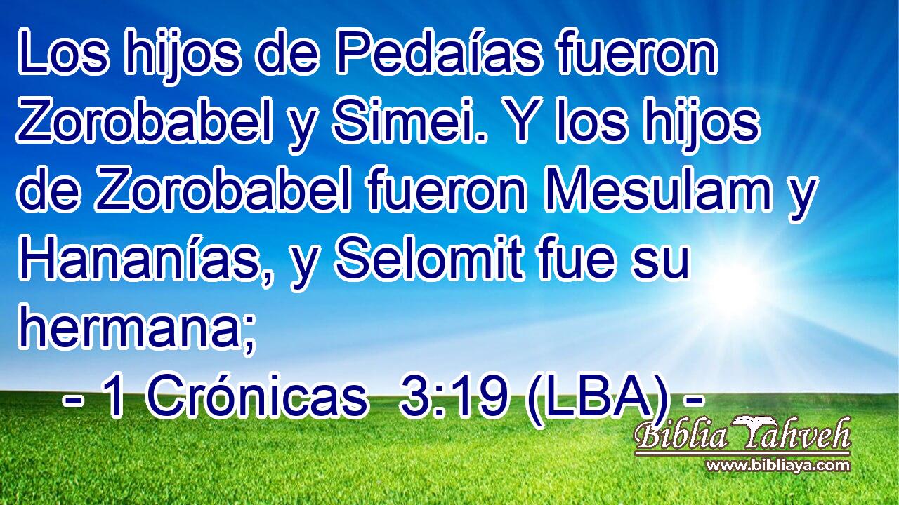 Los hijos de Pedaías fueron Zorobabel y Simei. Y los hijos de Zorobabel fueron Mesulam y Hananías, y Selomit fue su hermana;