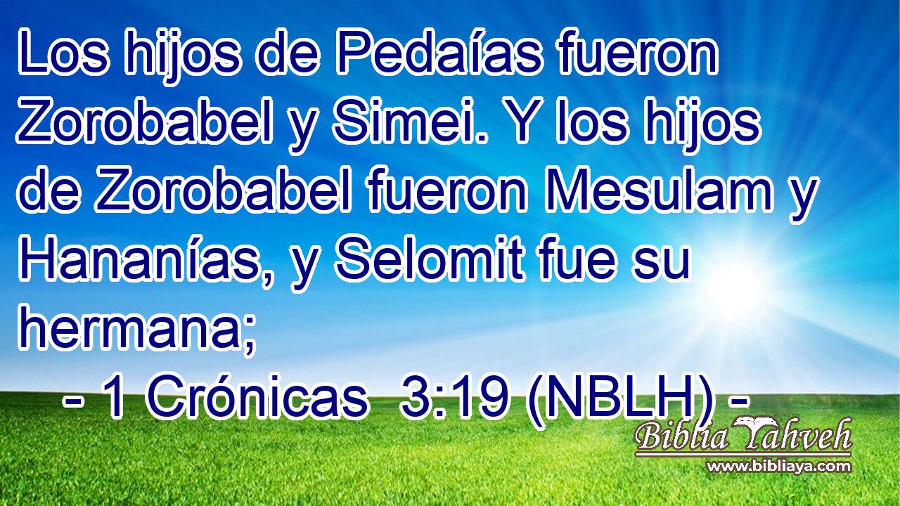  Los hijos de Pedaías fueron Zorobabel y Simei. Y los hijos de Zorobabel fueron Mesulam y Hananías, y Selomit fue su hermana; 