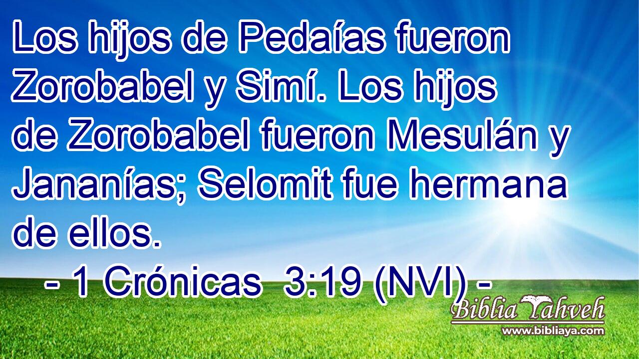  Los hijos de Pedaías fueron Zorobabel y Simí. Los hijos de Zorobabel fueron Mesulán y Jananías; Selomit fue hermana de ellos. 
