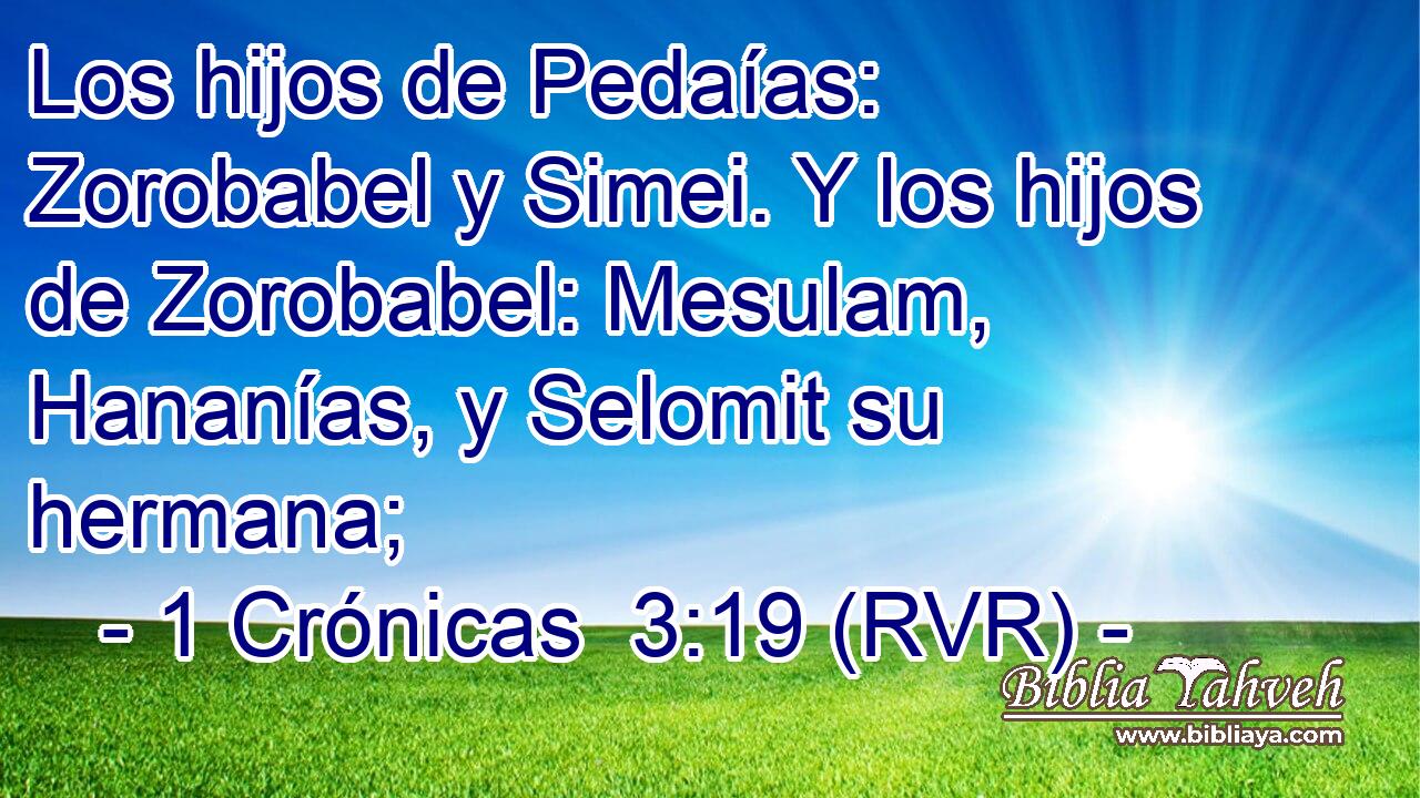 Los hijos de Pedaías: Zorobabel y Simei. Y los hijos de Zorobabel: Mesulam, Hananías, y Selomit su hermana;