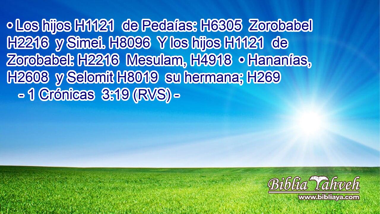 • Los hijos H1121  de Pedaías: H6305  Zorobabel H2216  y Simei. H8096  Y los hijos H1121  de Zorobabel: H2216  Mesulam, H4918  • Hananías, H2608  y Selomit H8019  su hermana; H269  