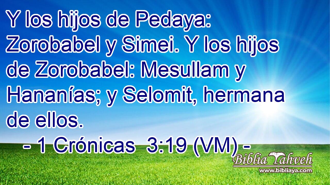  Y los hijos de Pedaya: Zorobabel y Simei. Y los hijos de Zorobabel: Mesullam y Hananías; y Selomit, hermana de ellos. 
