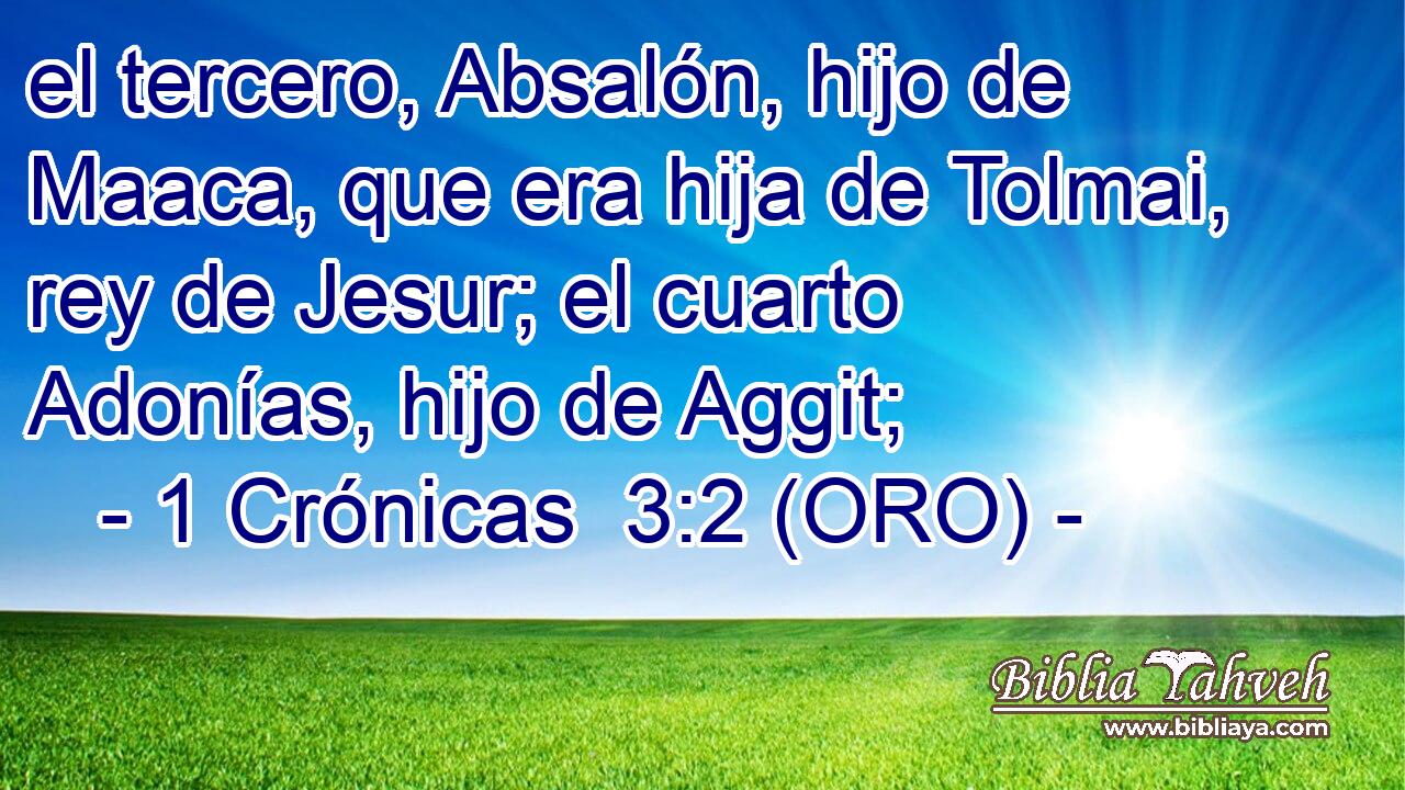  el tercero, Absalón, hijo de Maaca, que era hija de Tolmai, rey de Jesur; el cuarto Adonías, hijo de Aggit; 