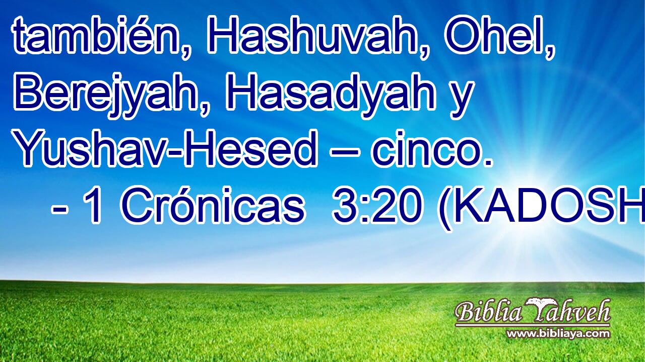  también, Hashuvah, Ohel, Berejyah, Hasadyah y Yushav-Hesed – cinco. 