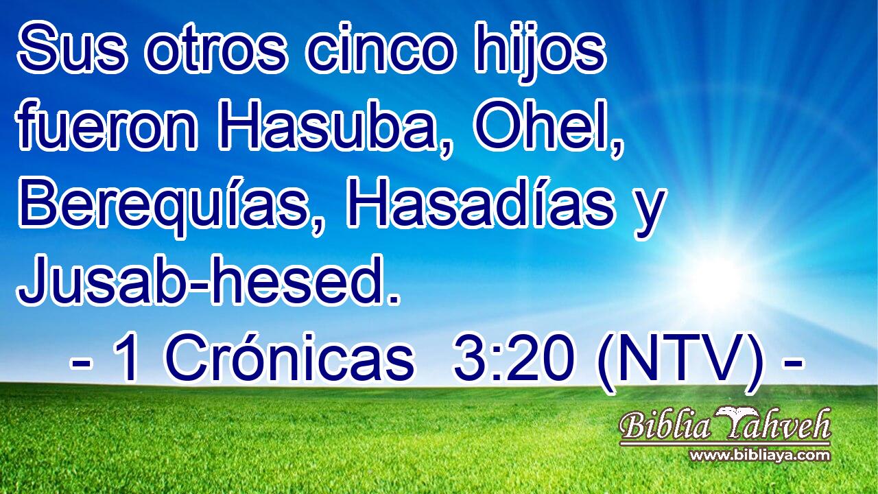 Sus otros cinco hijos fueron Hasuba, Ohel, Berequías, Hasadías y Jusab-hesed.