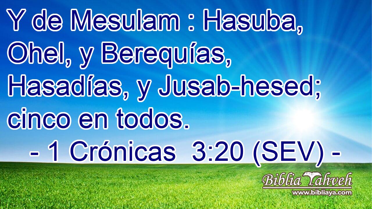 Y de Mesulam : Hasuba, Ohel, y Berequías, Hasadías, y Jusab-hesed; cinco en todos.