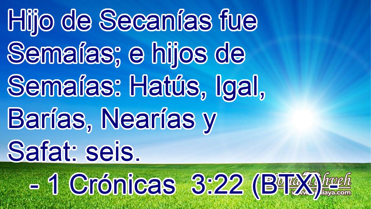 Hijo de Secanías fue Semaías; e hijos de Semaías: Hatús, Igal, Barías, Nearías y Safat: seis.