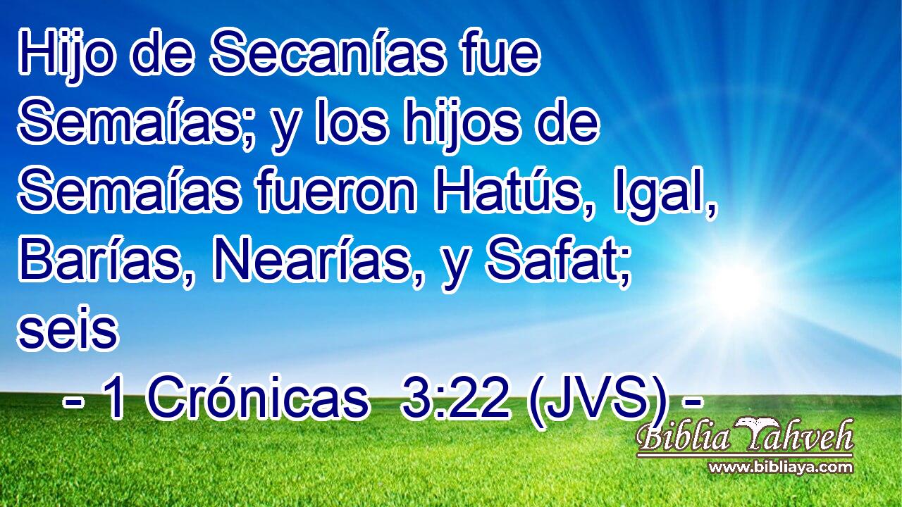 Hijo de Secanías fue Semaías; y los hijos de Semaías fueron Hatús, Igal, Barías, Nearías, y Safat; seis