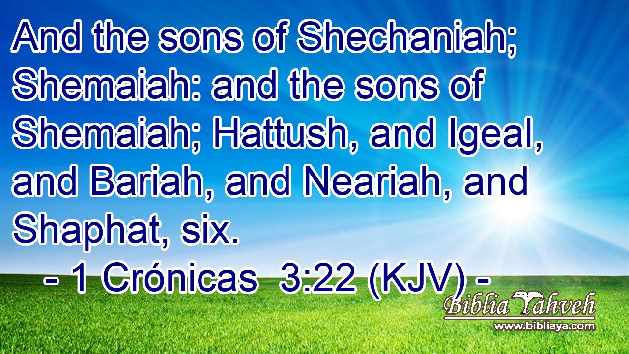 And the sons of Shechaniah; Shemaiah: and the sons of Shemaiah; Hattush, and Igeal, and Bariah, and Neariah, and Shaphat, six.