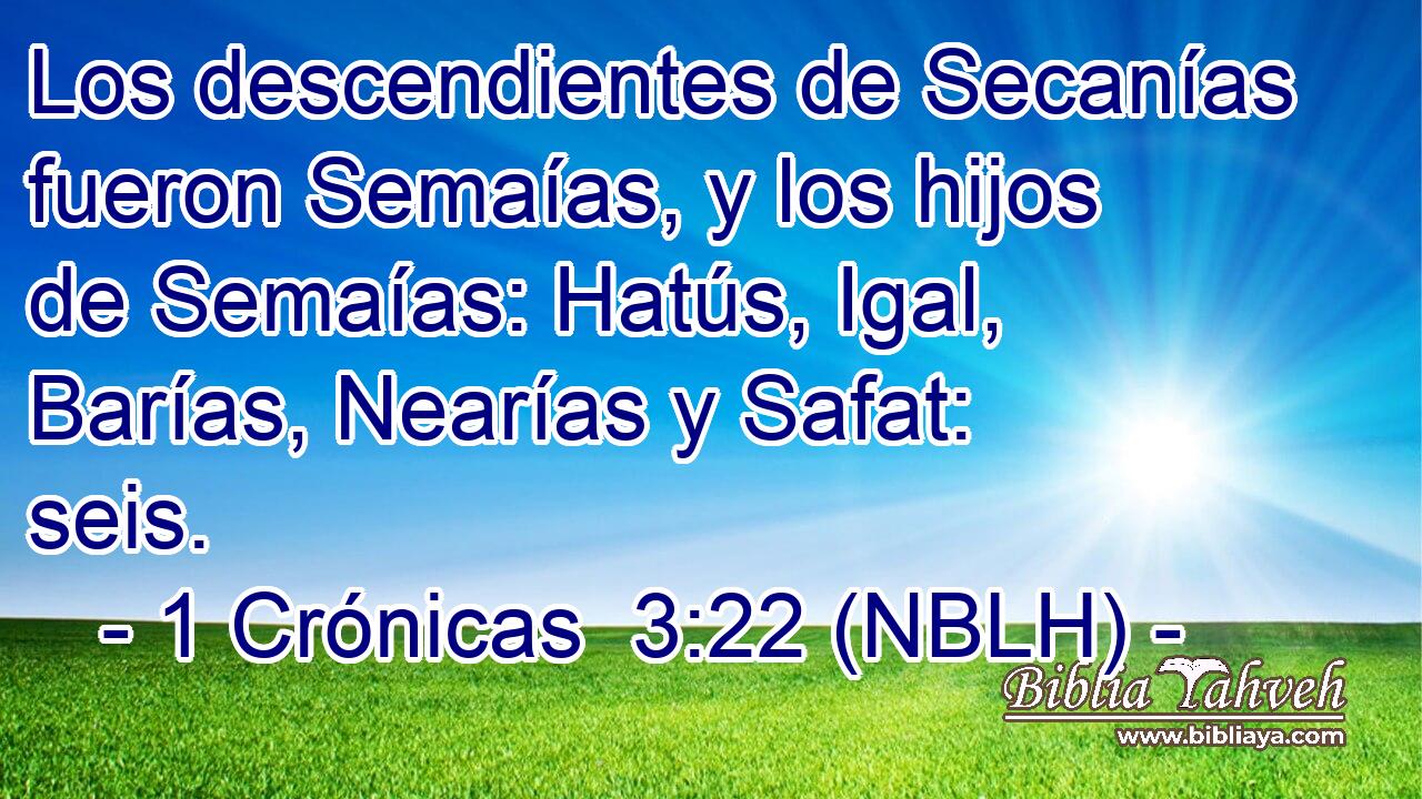  Los descendientes de Secanías fueron Semaías, y los hijos de Semaías: Hatús, Igal, Barías, Nearías y Safat: seis. 
