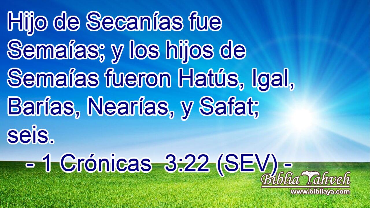 Hijo de Secanías fue Semaías; y los hijos de Semaías fueron Hatús, Igal, Barías, Nearías, y Safat; seis.