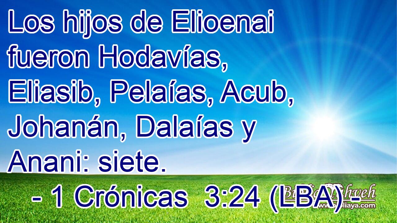 Los hijos de Elioenai fueron Hodavías, Eliasib, Pelaías, Acub, Johanán, Dalaías y Anani: siete.