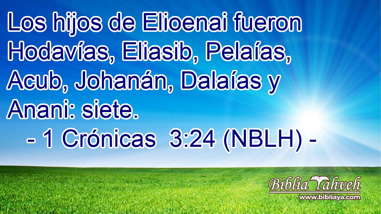 Los hijos de Elioenai fueron Hodavías, Eliasib, Pelaías, Acub, Johanán, Dalaías y Anani: siete. 