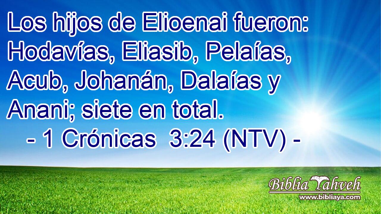 Los hijos de Elioenai fueron: Hodavías, Eliasib, Pelaías, Acub, Johanán, Dalaías y Anani; siete en total.