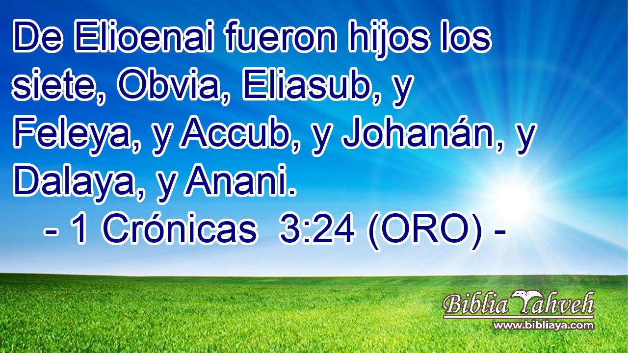  De Elioenai fueron hijos los siete, Obvia, Eliasub, y Feleya, y Accub, y Johanán, y Dalaya, y Anani. 