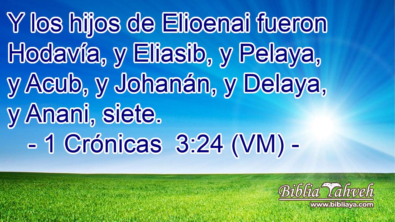  Y los hijos de Elioenai fueron Hodavía, y Eliasib, y Pelaya, y Acub, y Johanán, y Delaya, y Anani, siete. 