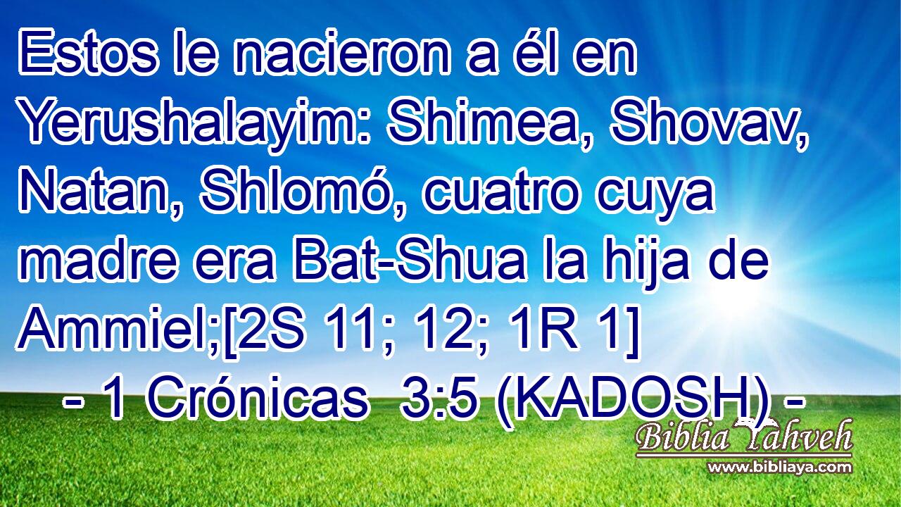  Estos le nacieron a él en Yerushalayim: Shimea, Shovav, Natan, Shlomó, cuatro cuya madre era Bat-Shua la hija de Ammiel;[2S 11; 12; 1R 1] 