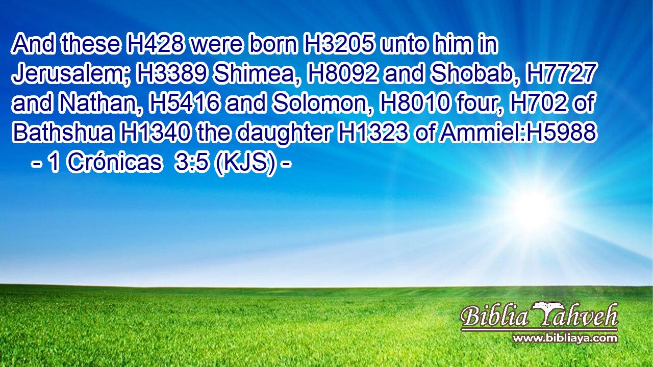And these H428 were born H3205 unto him in Jerusalem; H3389 Shimea, H8092 and Shobab, H7727 and Nathan, H5416 and Solomon, H8010 four, H702 of Bathshua H1340 the daughter H1323 of Ammiel:H5988